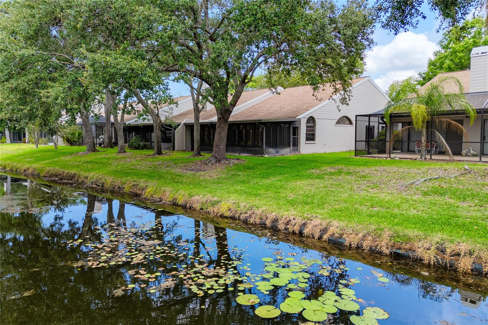 Pond in back -5524 Salem Square Dr N, Palm Harbor, FL 34685