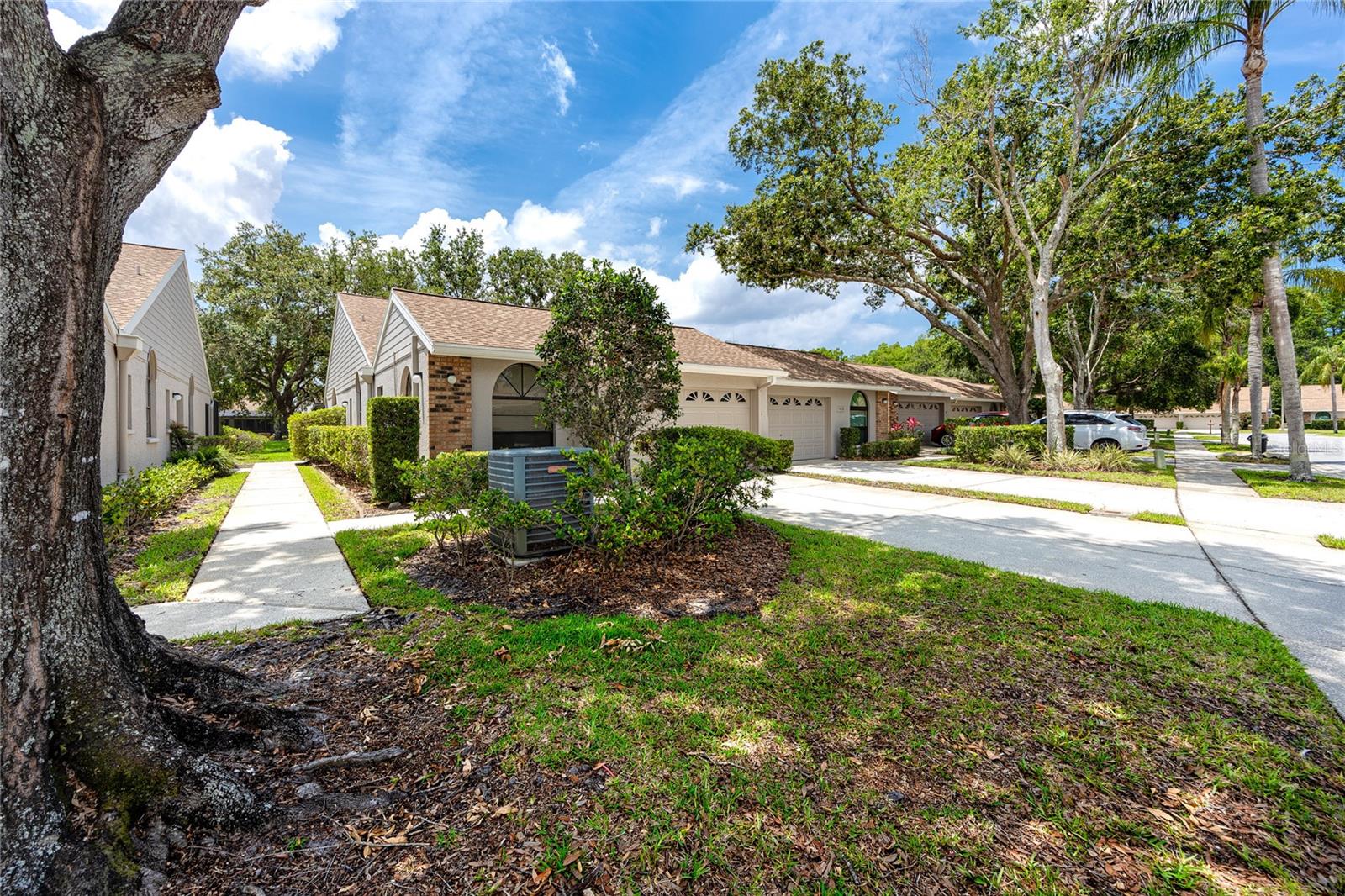 Front -5524 Salem Square Dr N, Palm Harbor, FL 34685