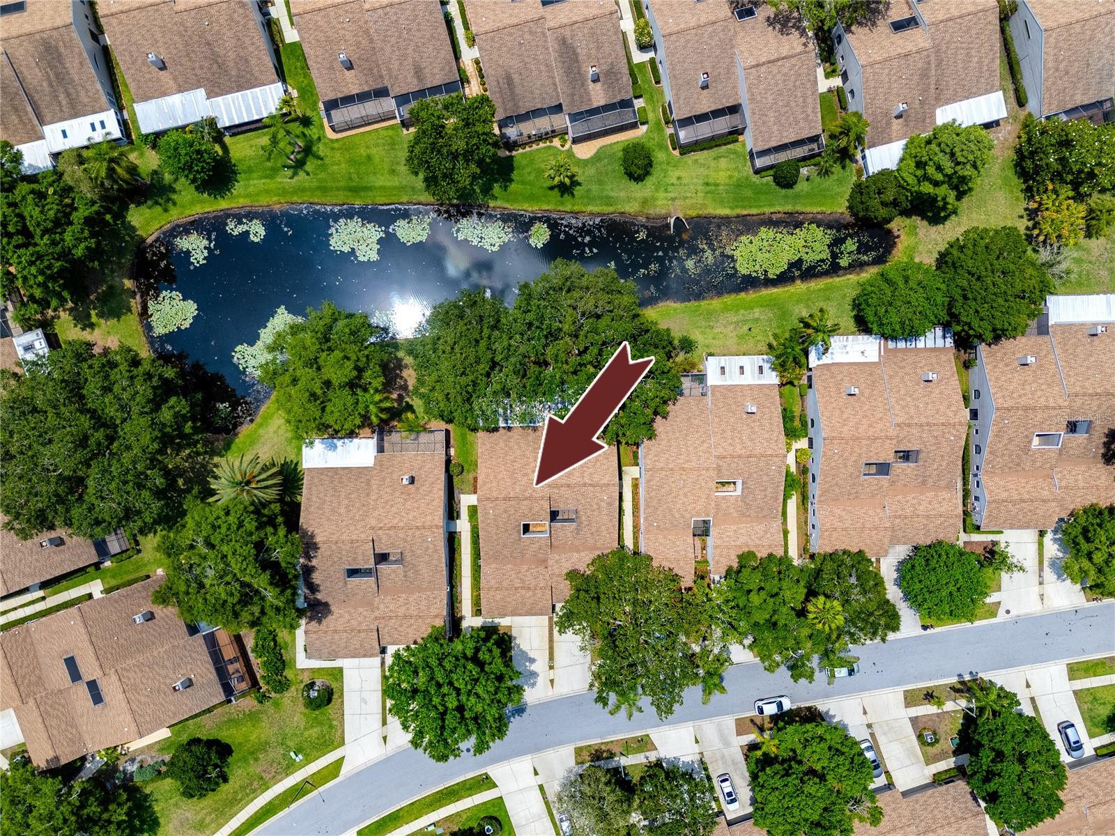 Aerial View -5524 Salem Square Dr N, Palm Harbor, FL 34685