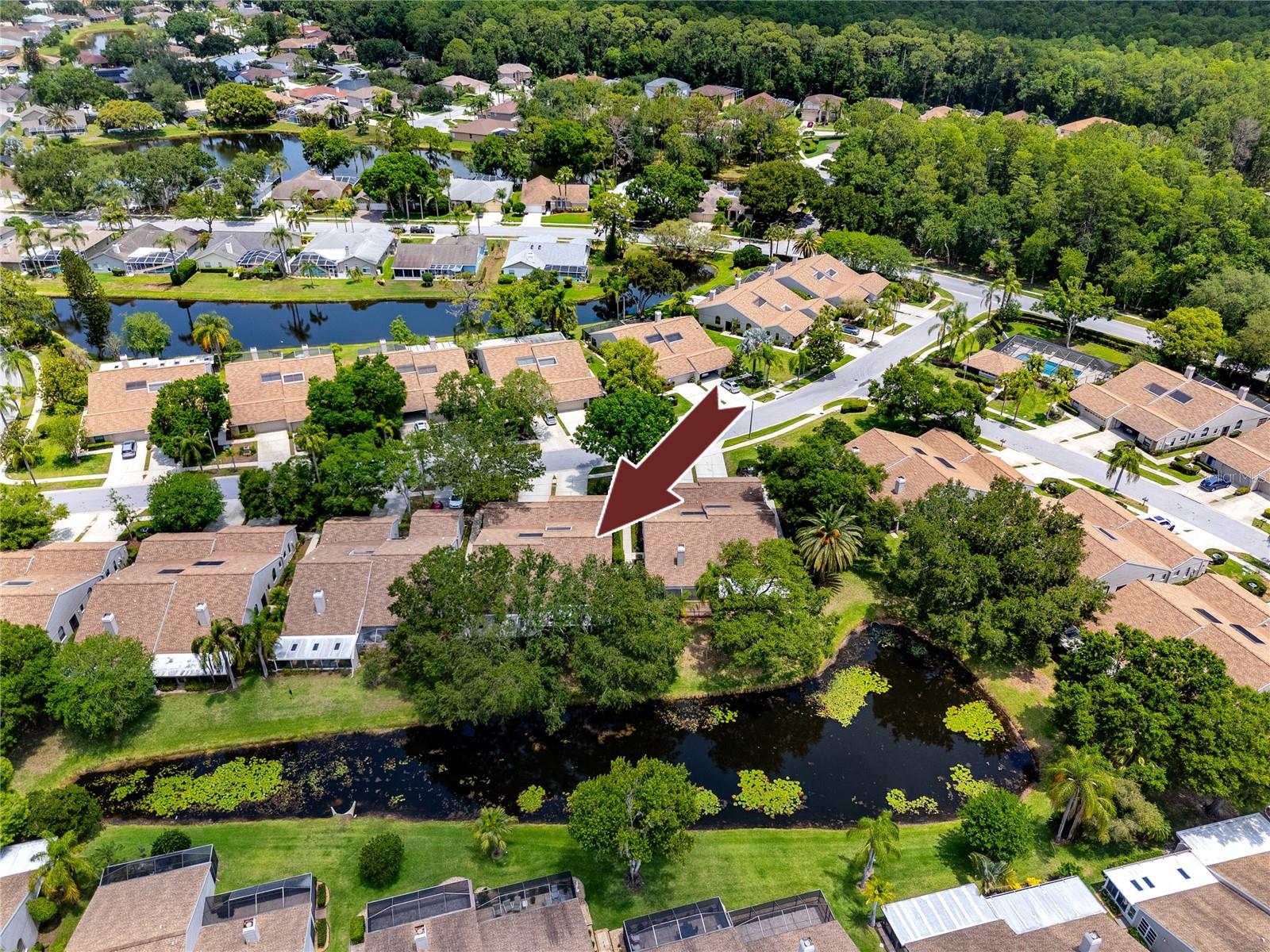 Aerial View -5524 Salem Square Dr N, Palm Harbor, FL 34685