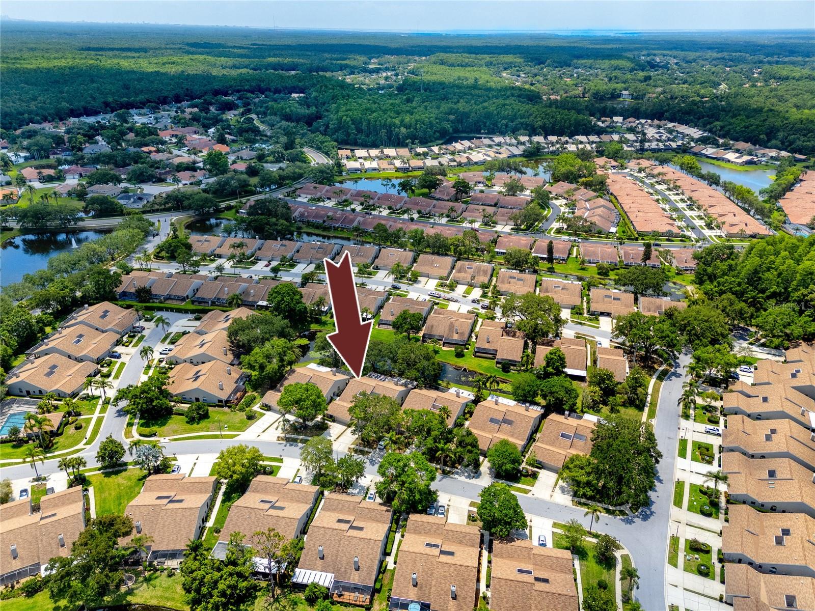 Aerial View -5524 Salem Square Dr N, Palm Harbor, FL 34685