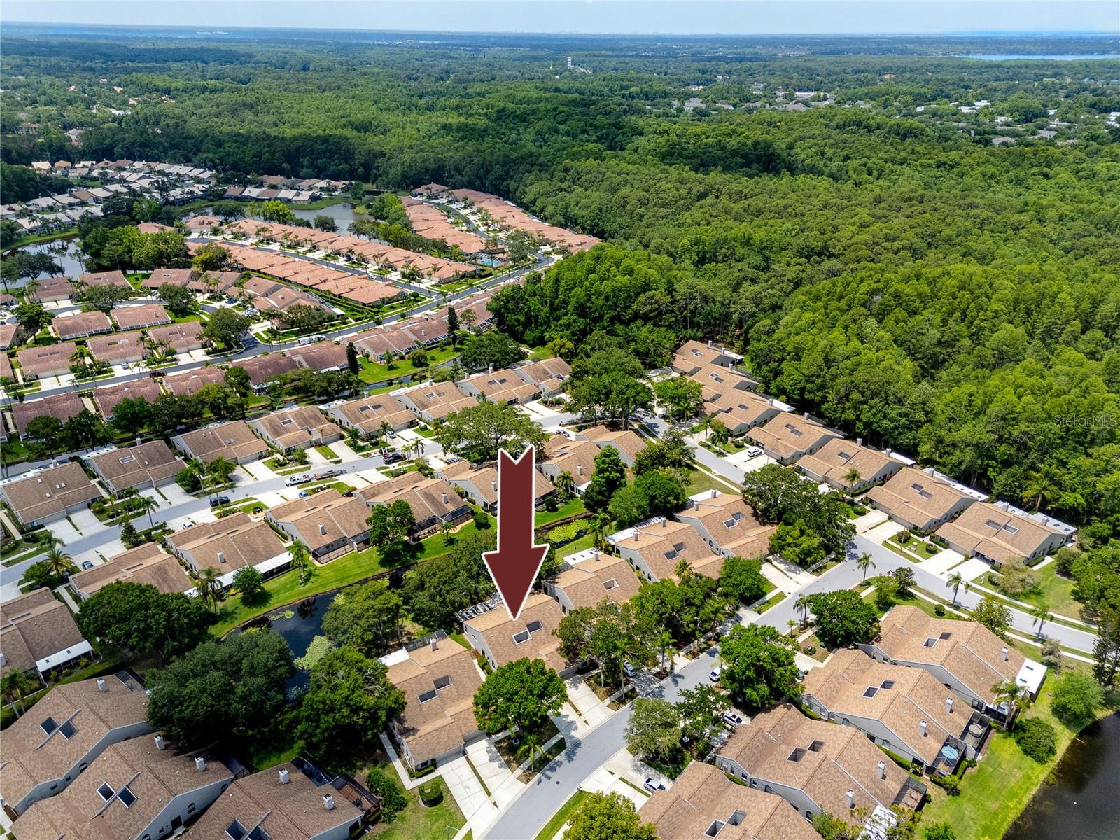 Aerial View -5524 Salem Square Dr N, Palm Harbor, FL 34685