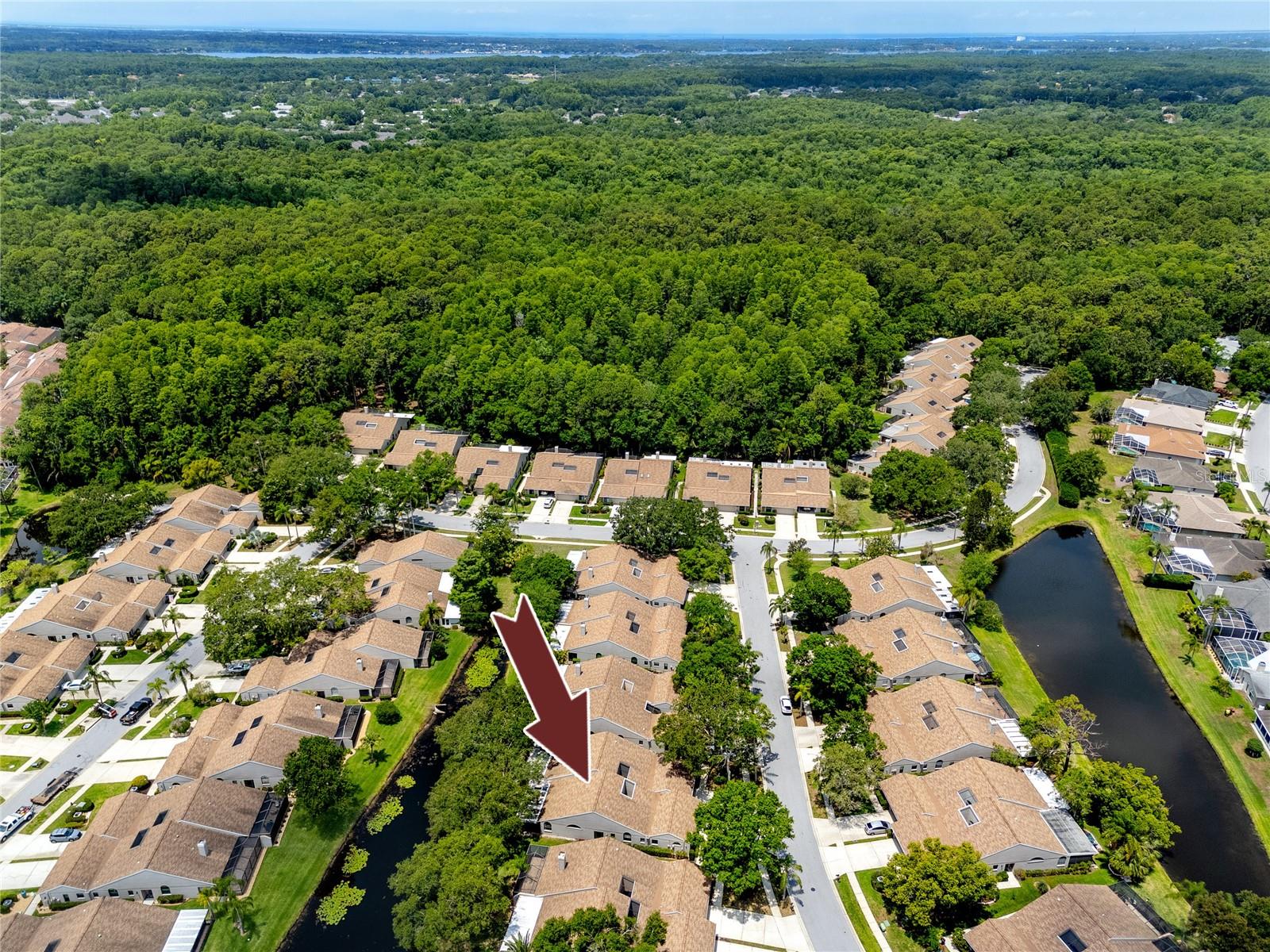 Aerial View -5524 Salem Square Dr N, Palm Harbor, FL 34685