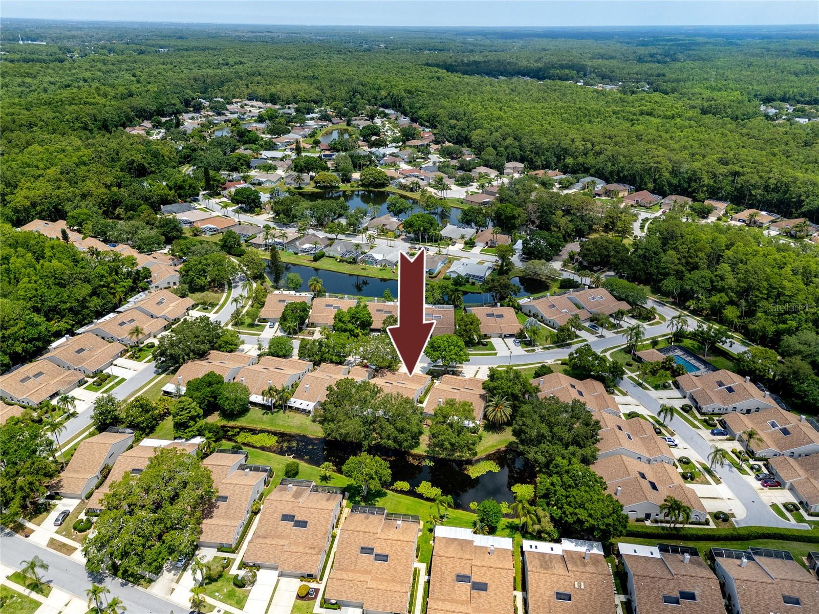 Aerial View -5524 Salem Square Dr N, Palm Harbor, FL 34685