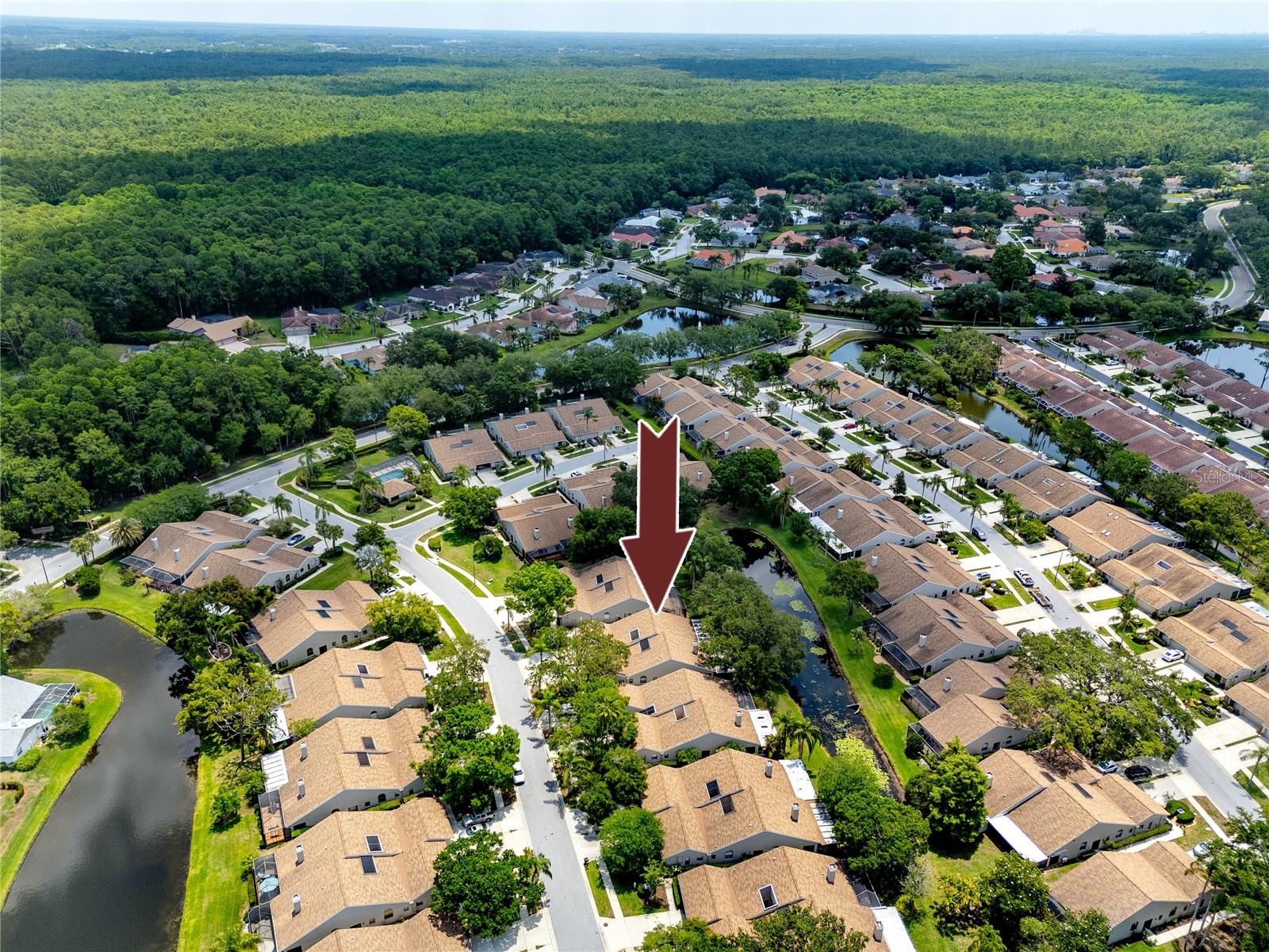 Aerial View -5524 Salem Square Dr N, Palm Harbor, FL 34685