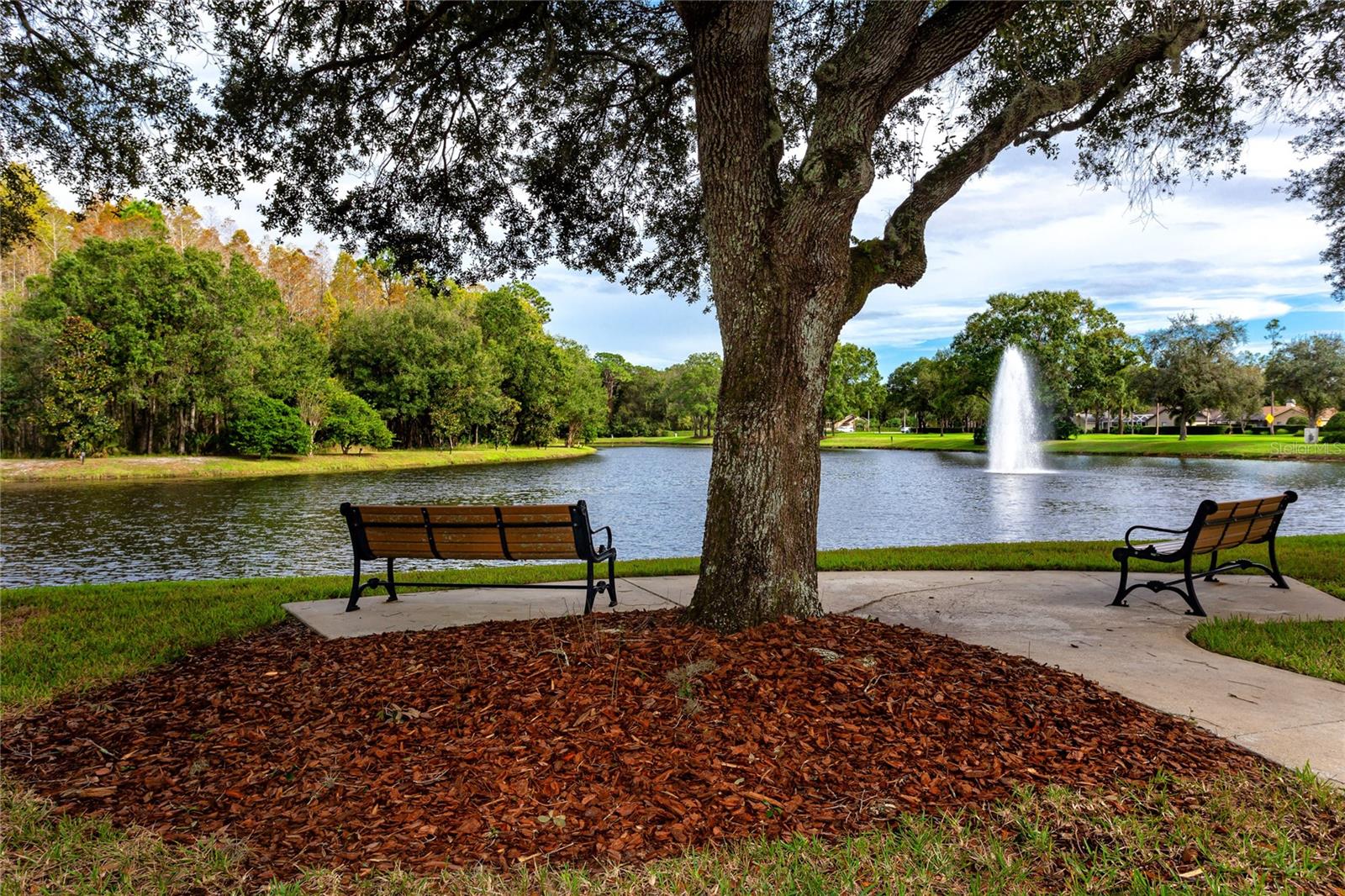 Ridgemoor Parks and Ponds