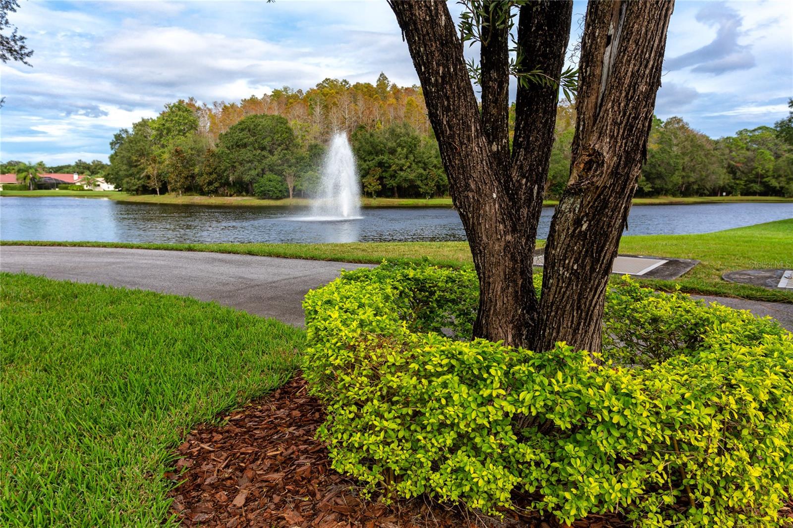 Ridgemoor Parks and Ponds