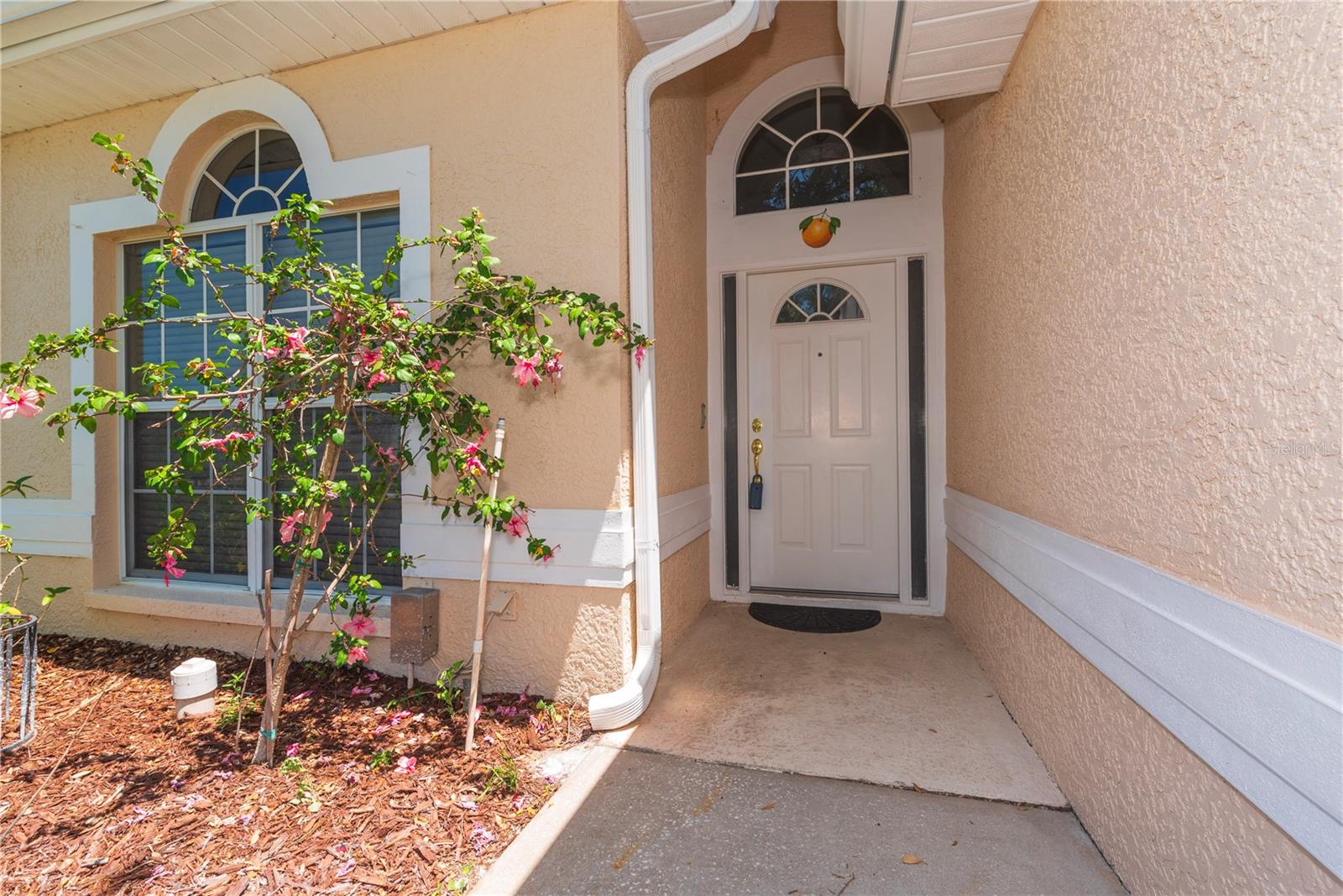 Front door with a Dunedin orange!