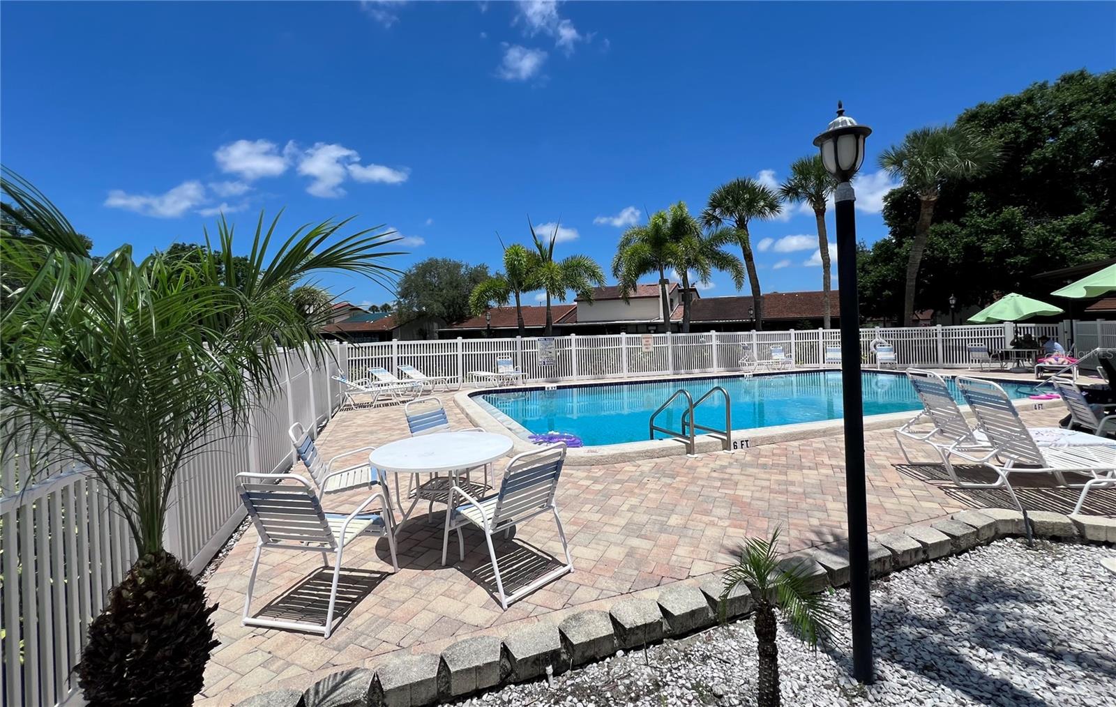 Adult pool