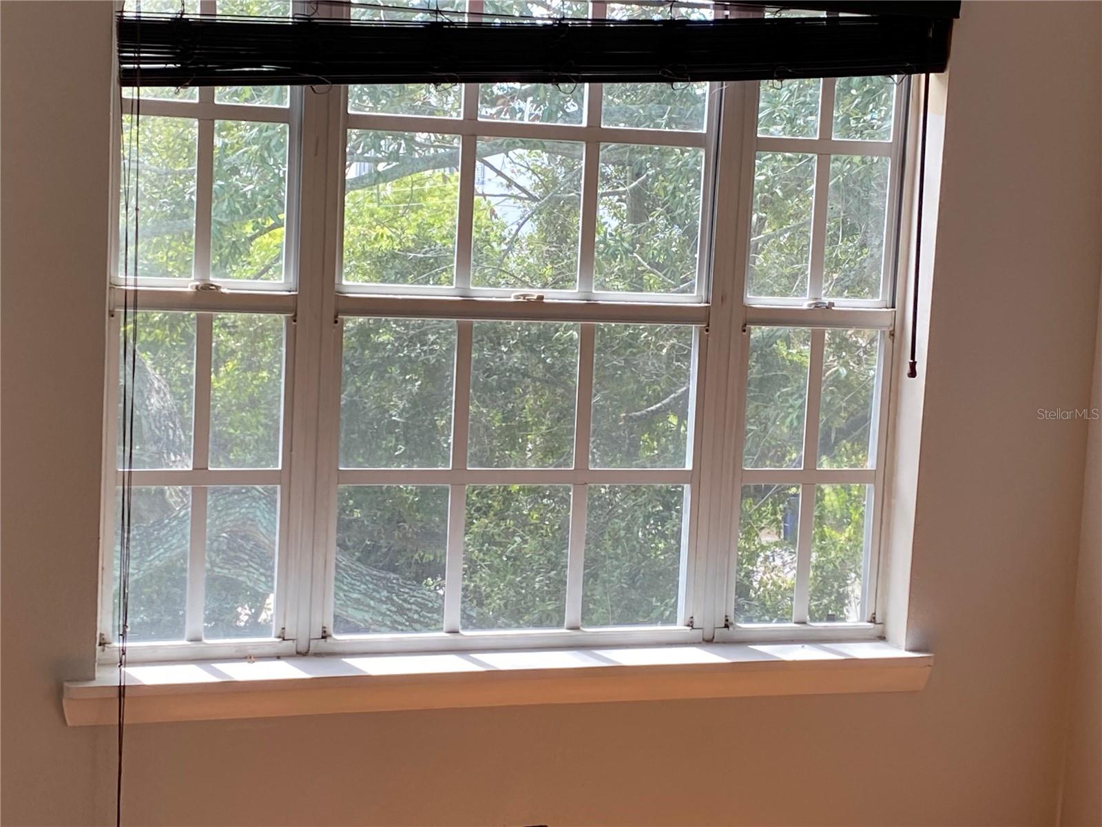 Main Room Natural Light