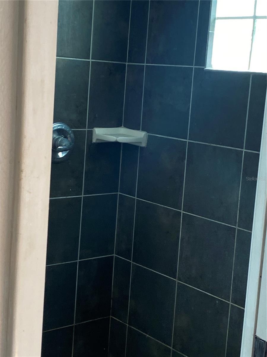 BR 1 Shower