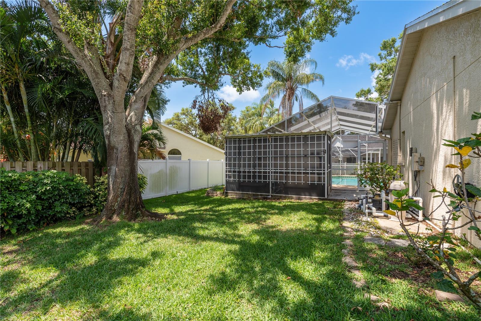 Backyard