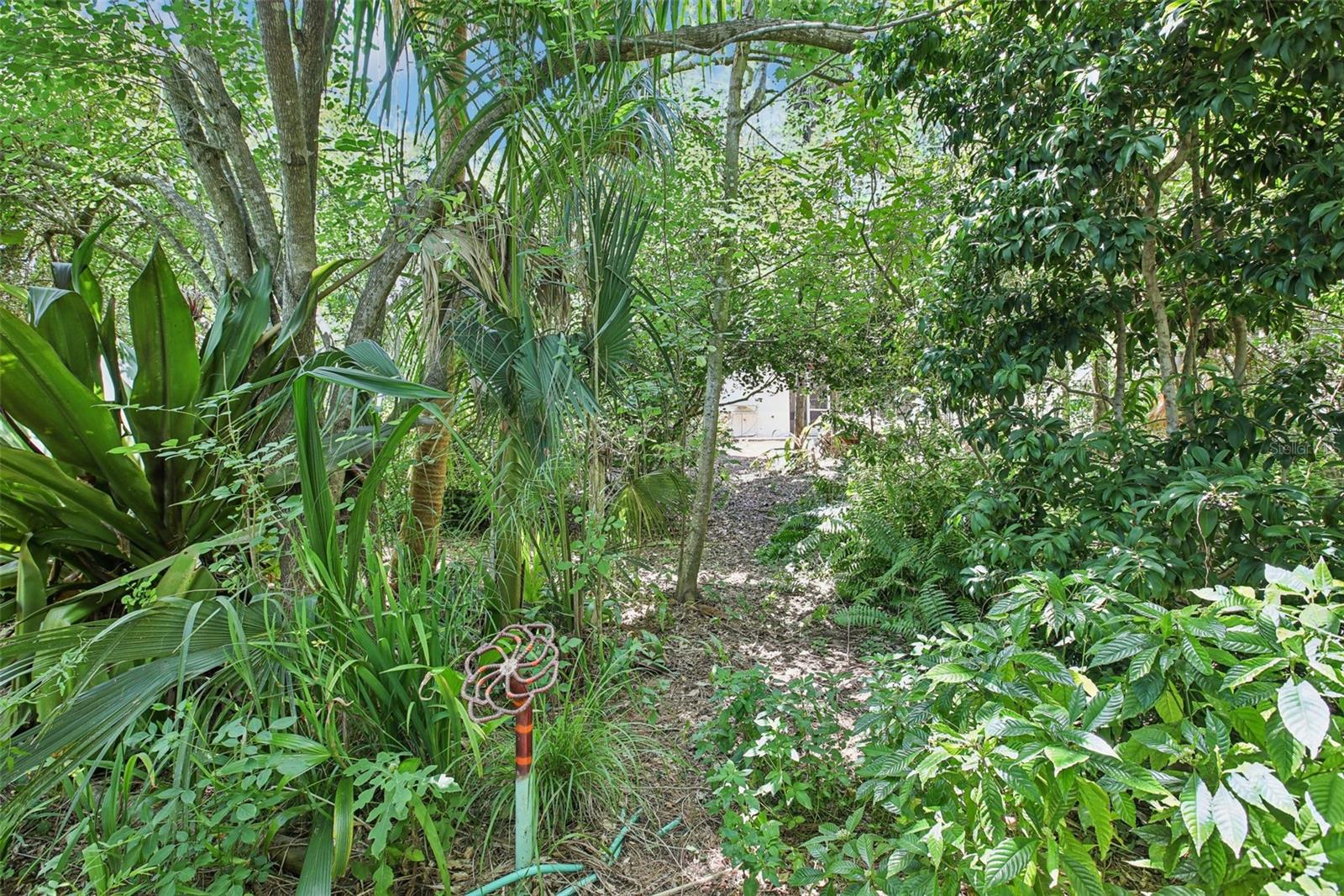 walking path through the lots