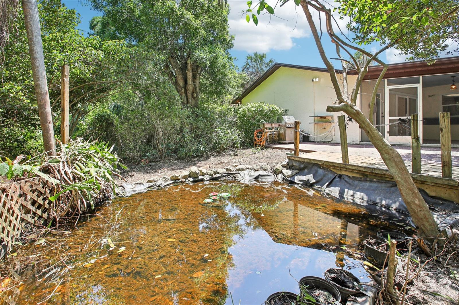 koi pond