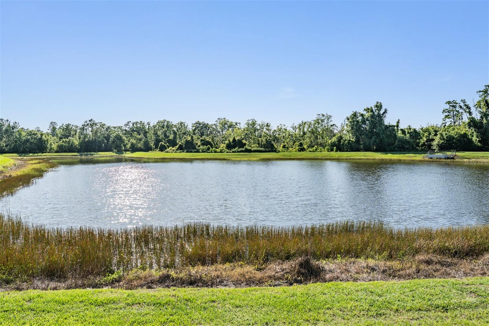 backyard lake view