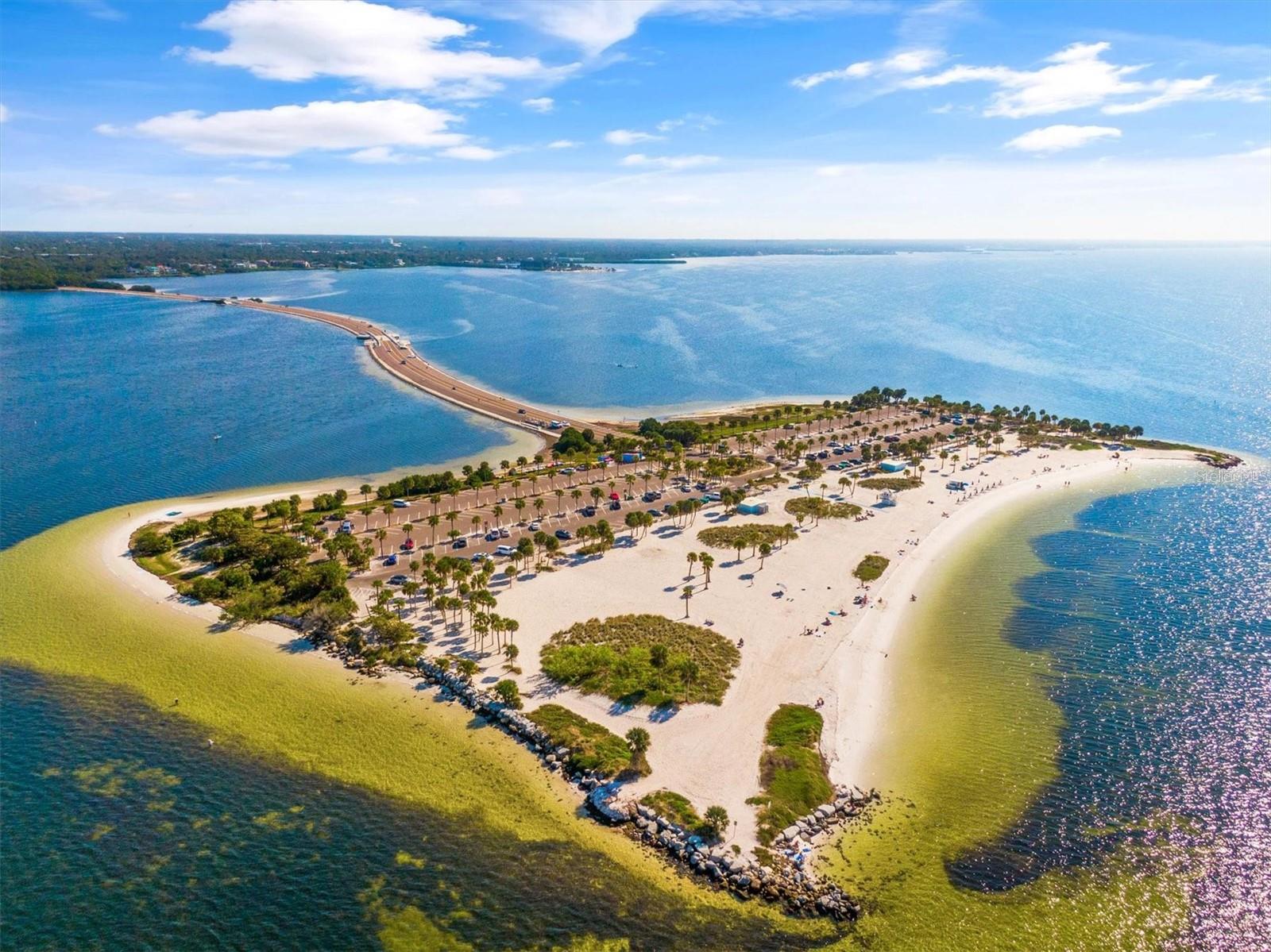 Fred Howard Park Beach