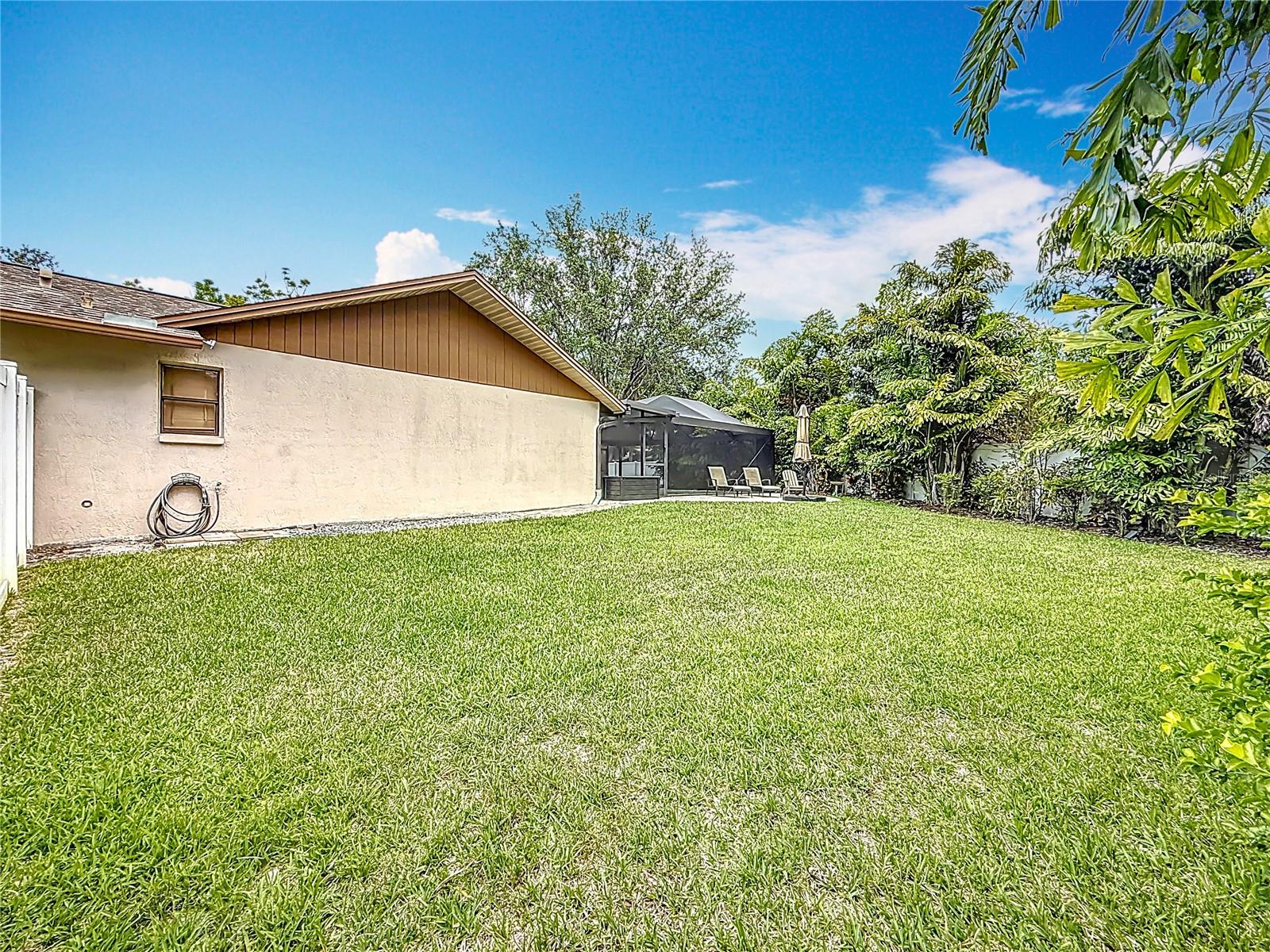 Fenced Yard & Patio