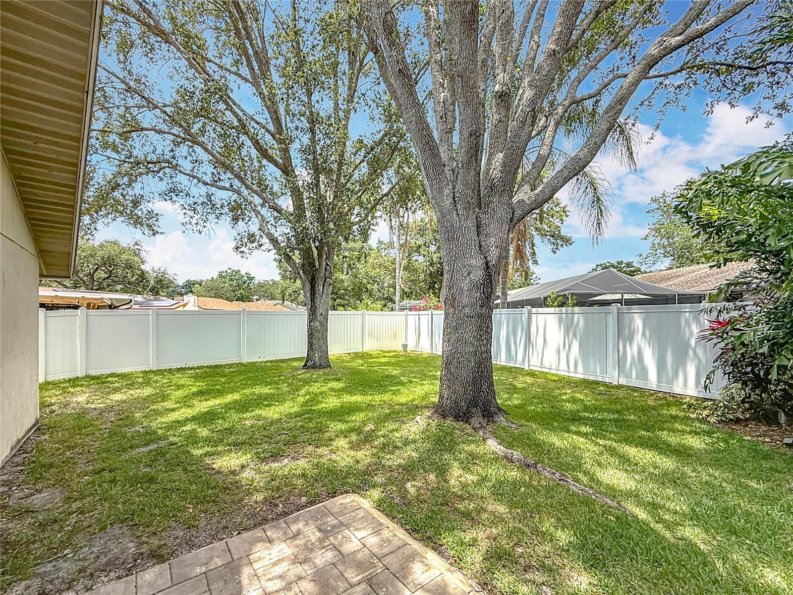 Fenced Yard