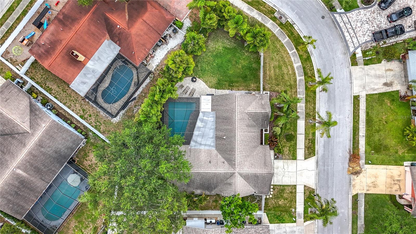Bird's Eye
