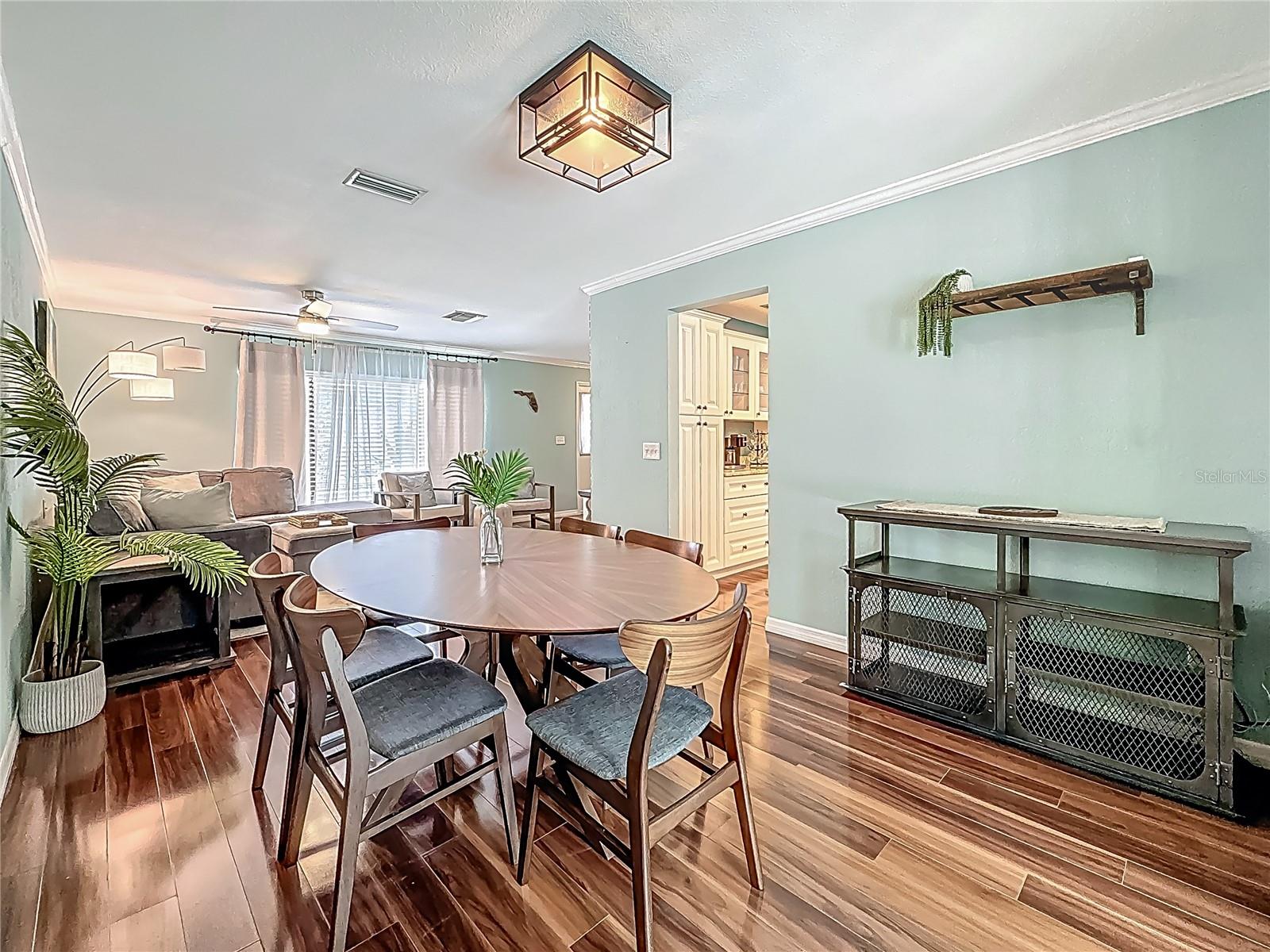 Dining Room - Living Room - Kitchen