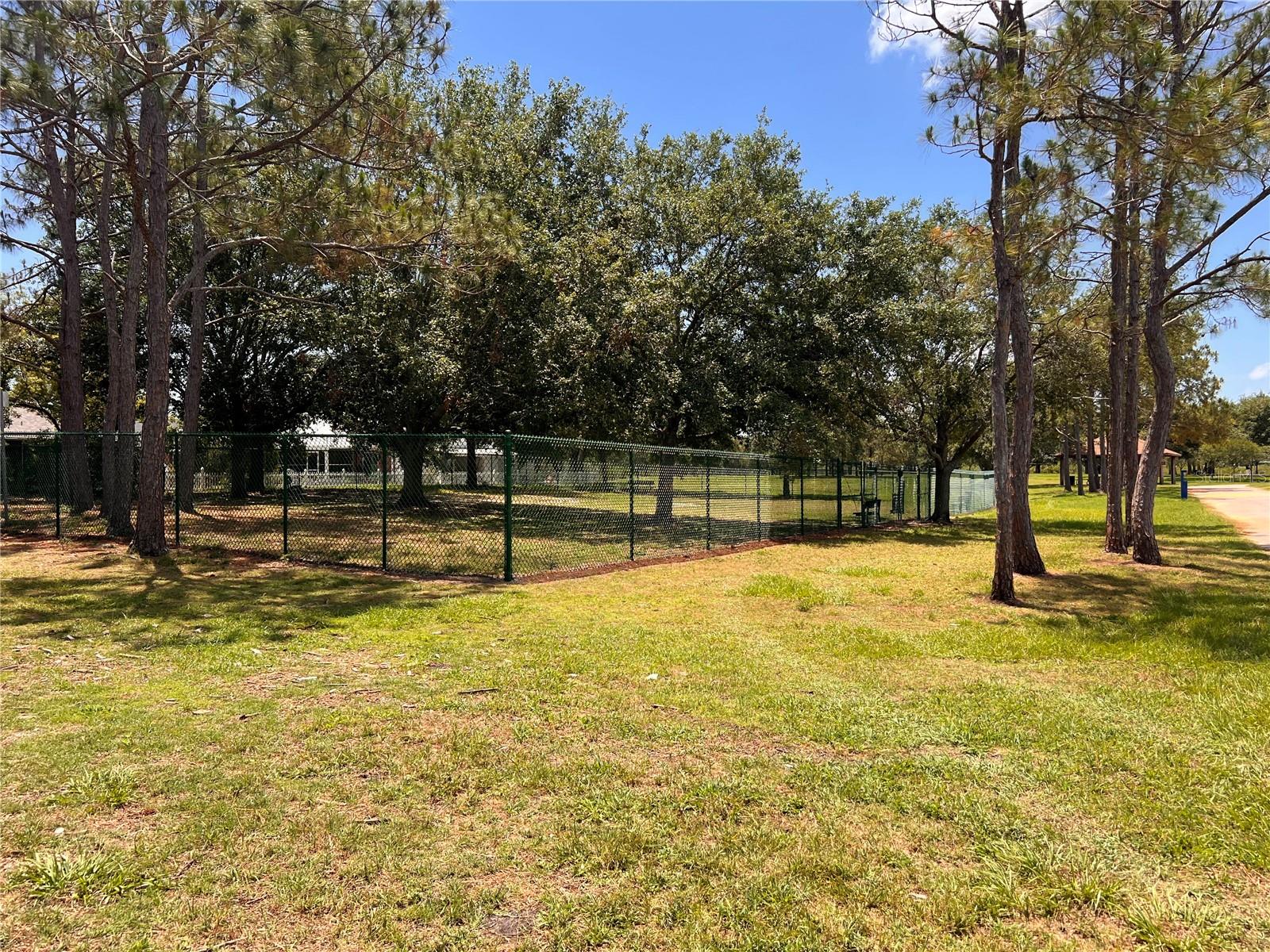 Dog Park