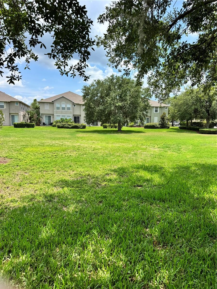 Green space