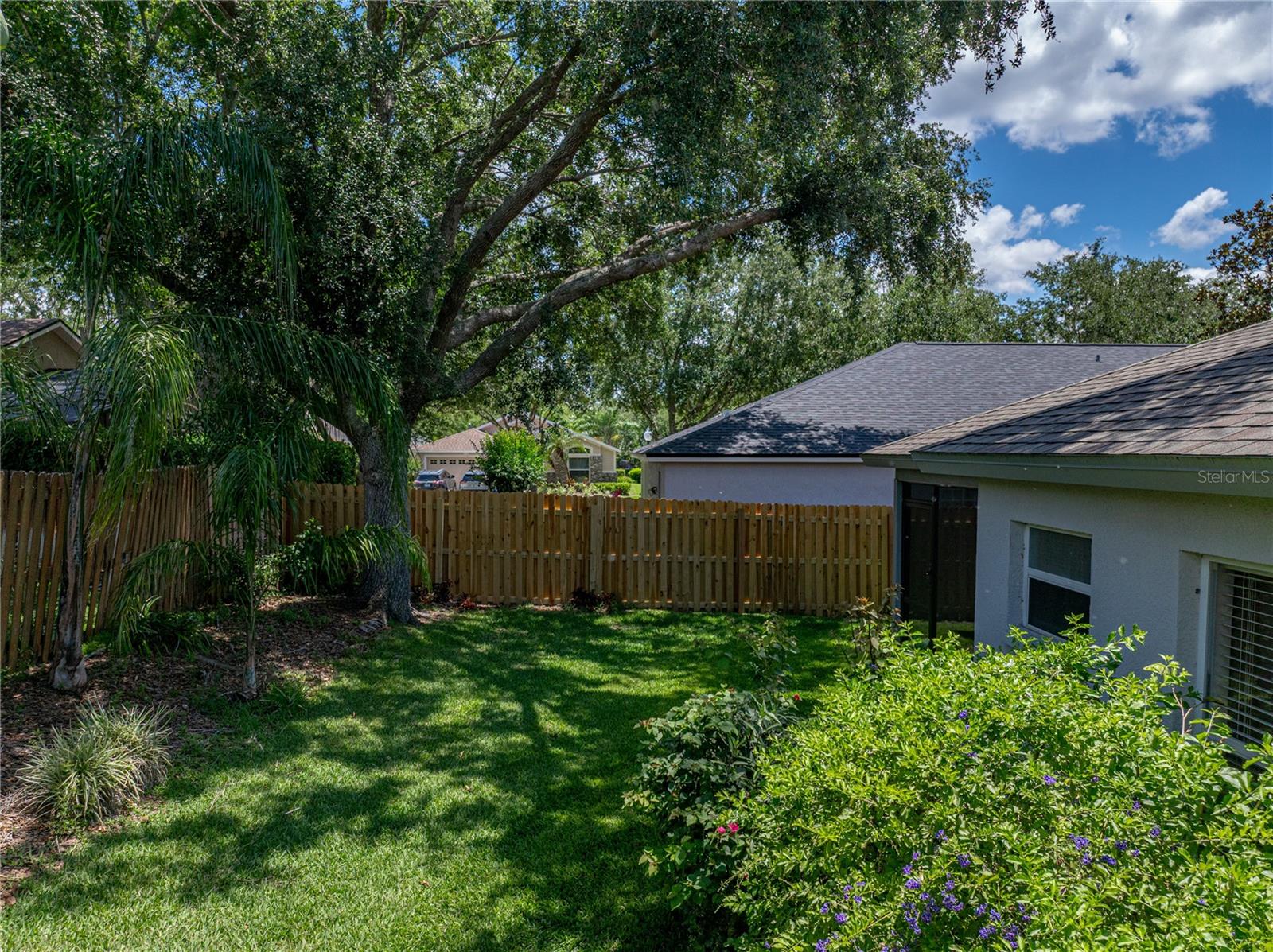 Backyard