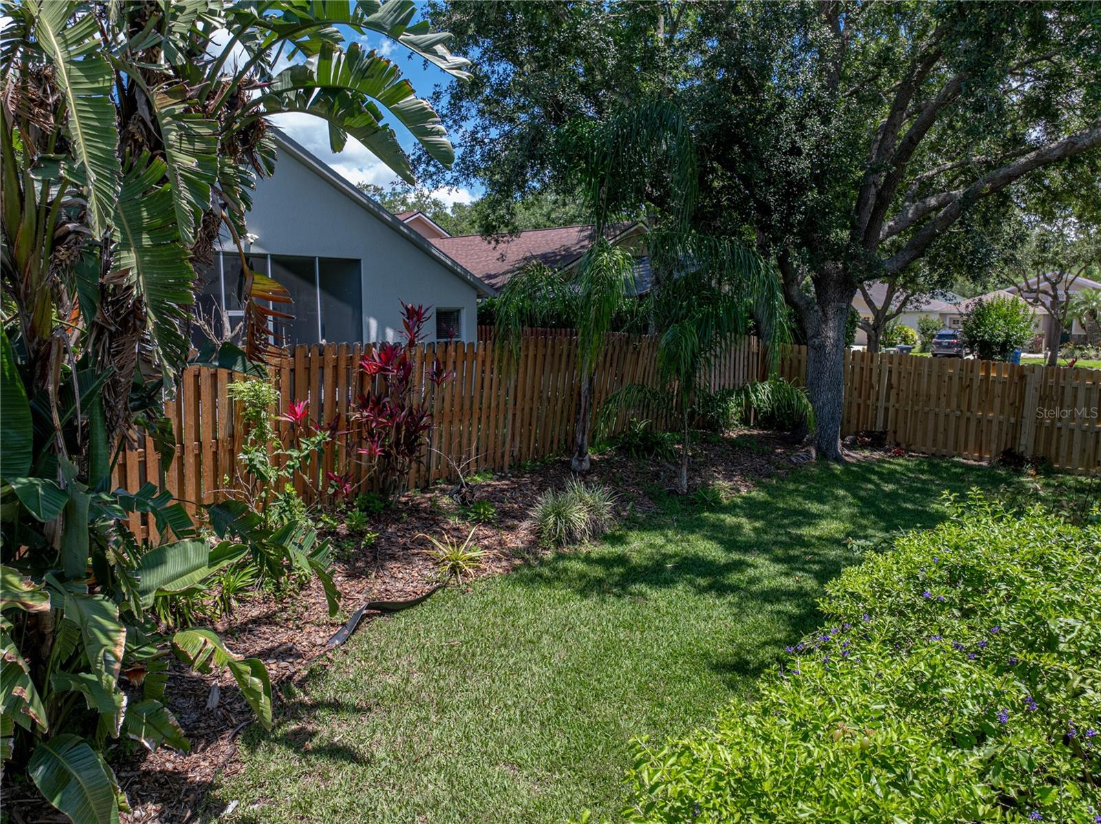 Backyard
