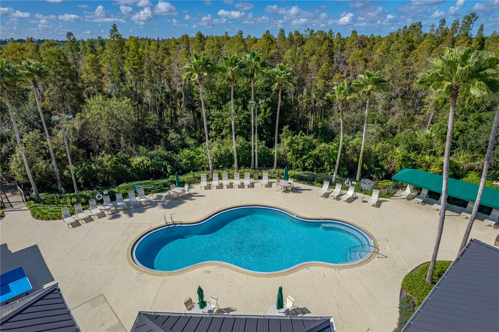 Resort Pool