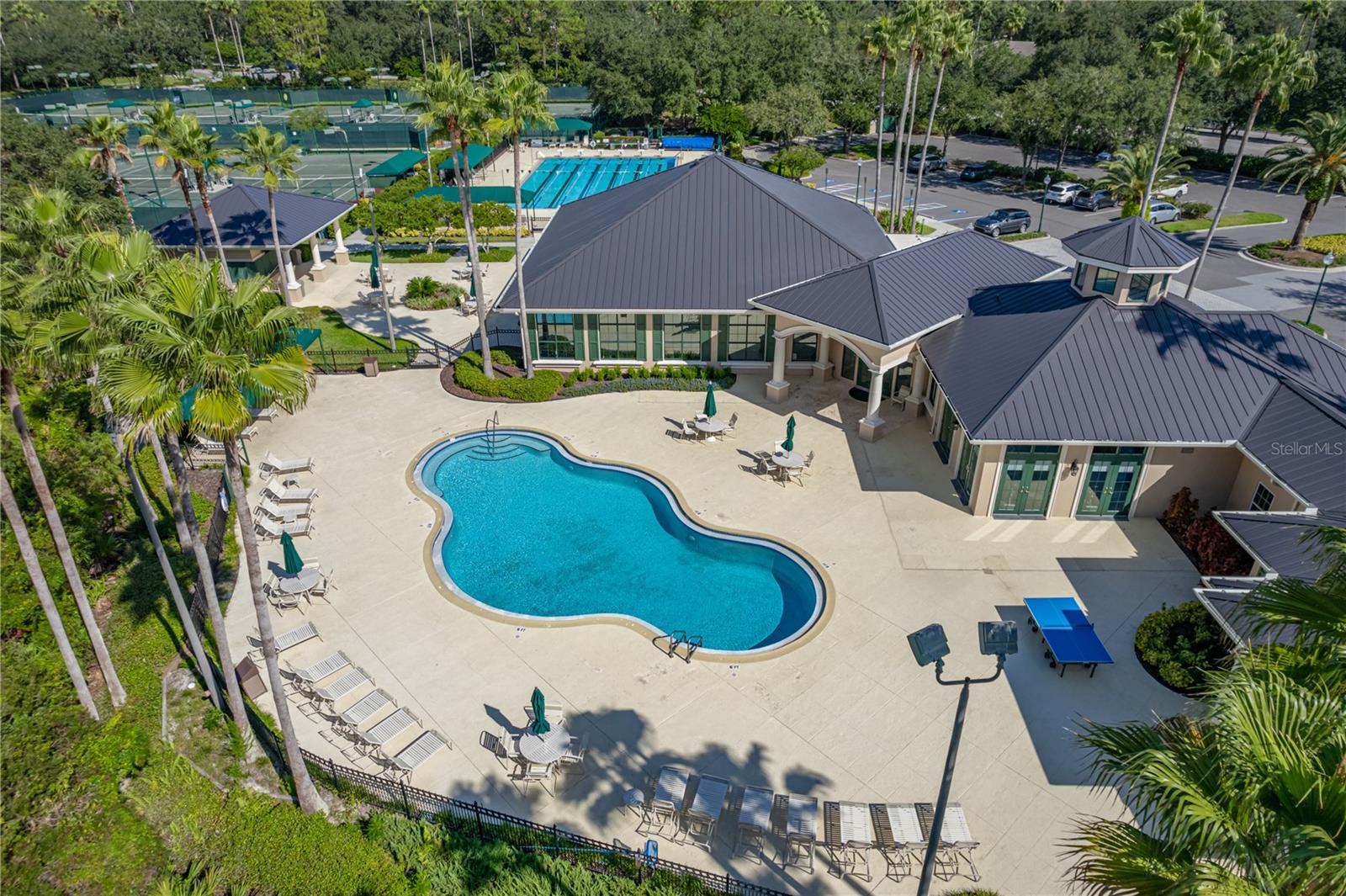 Resort Pool and Lounging Deck