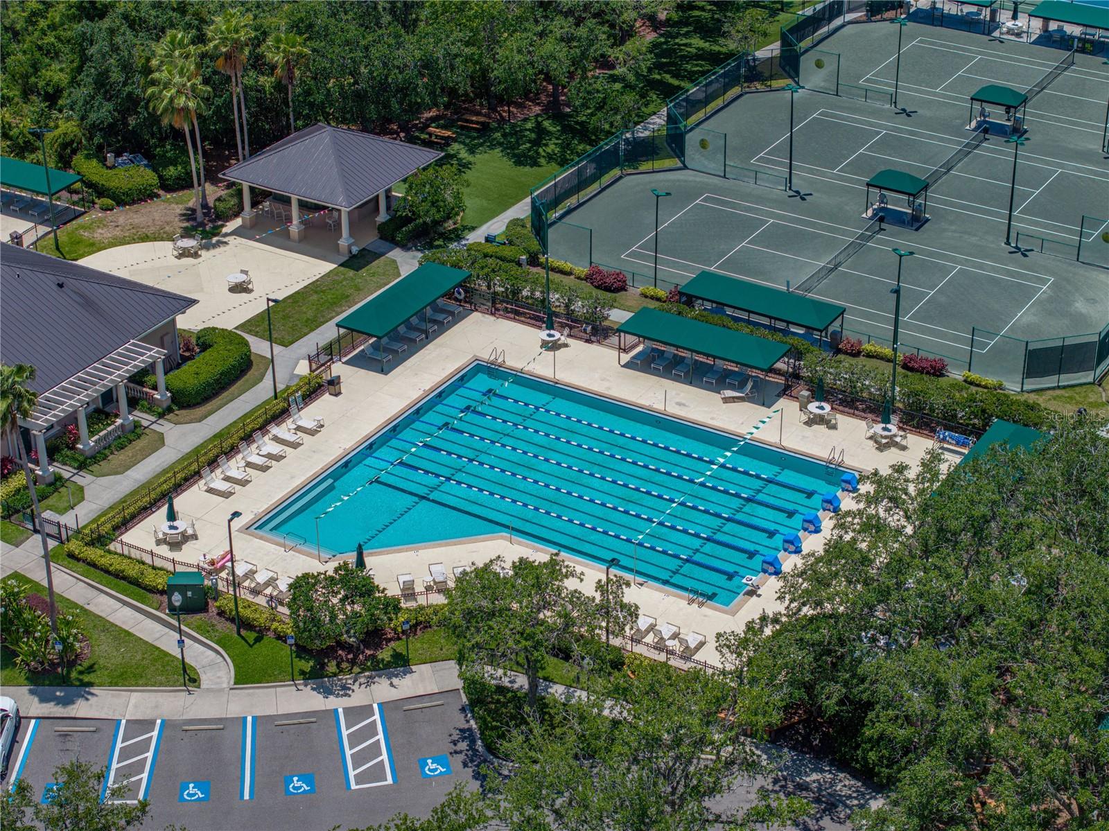 Sport Lap Pool