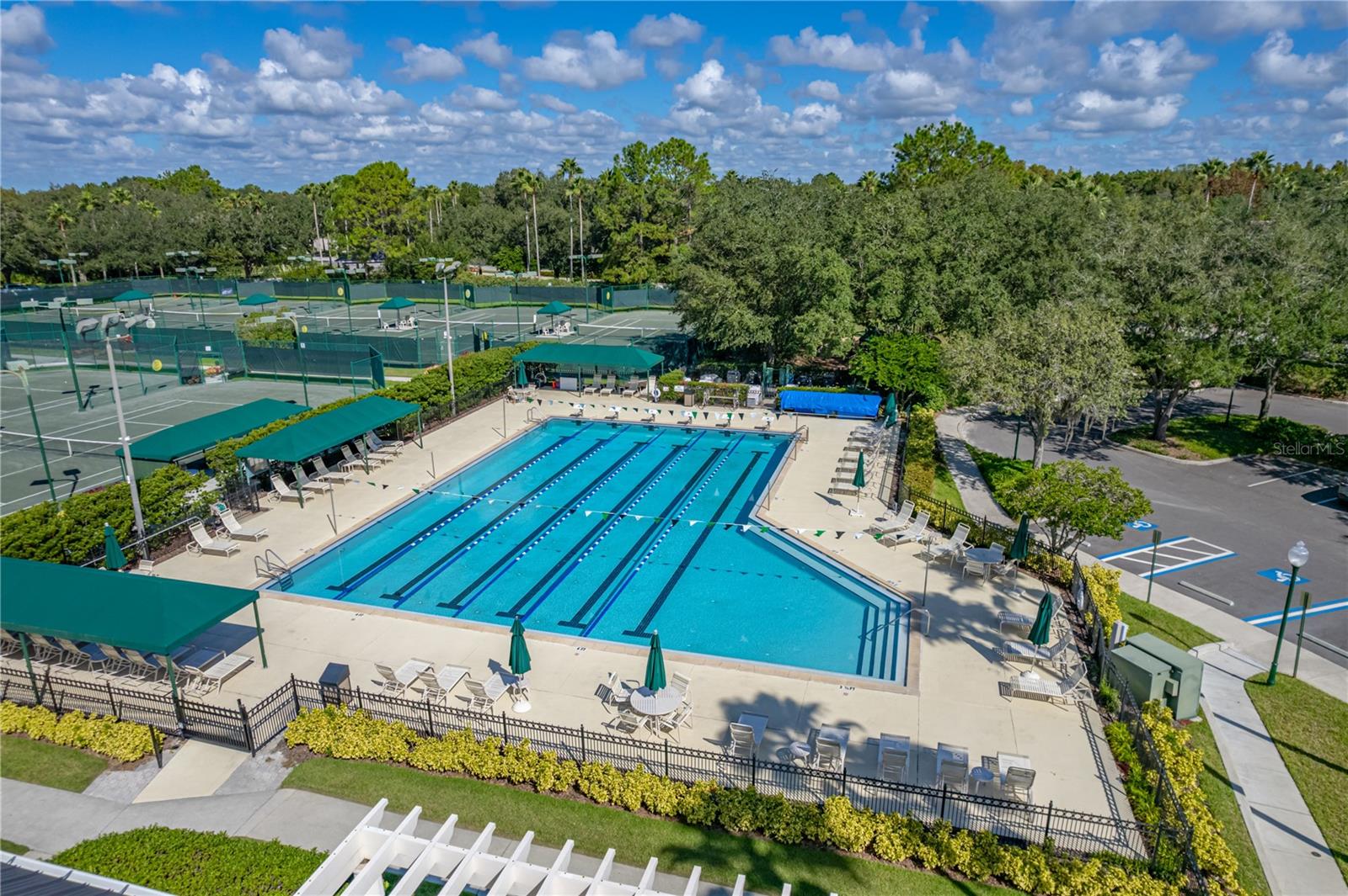 Sport Lap Pool
