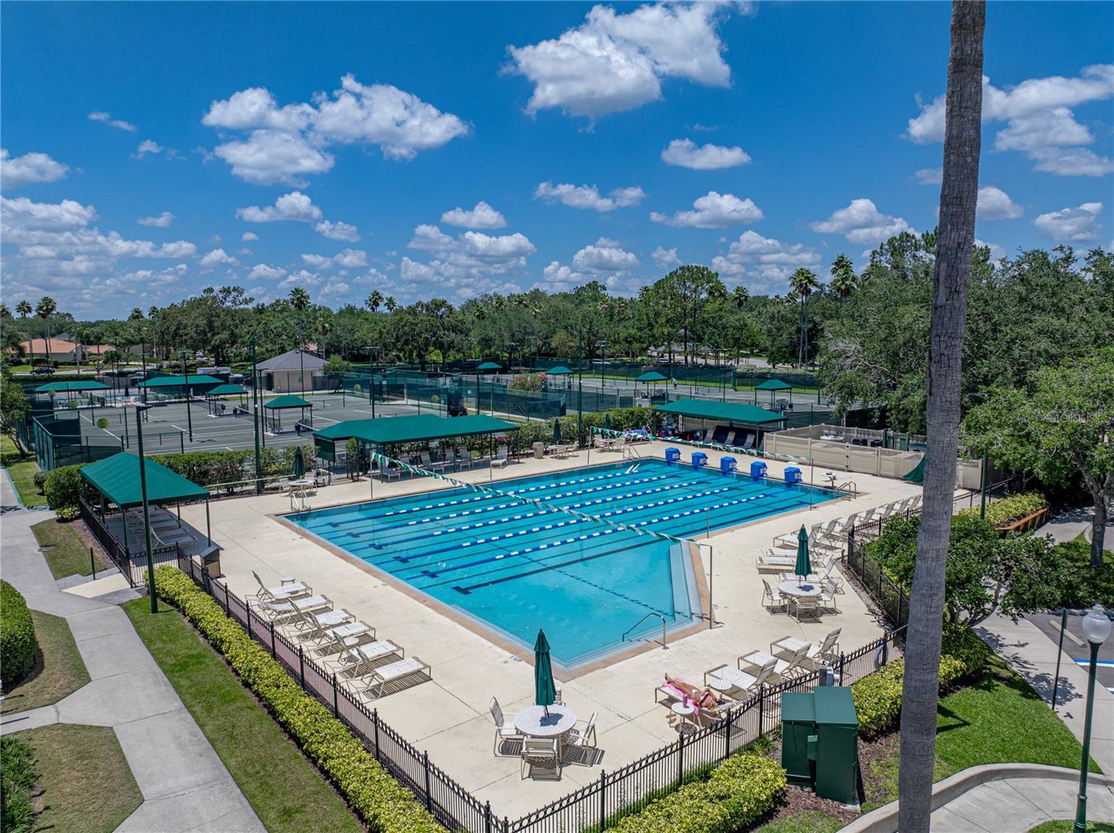 Sport Lap Pool