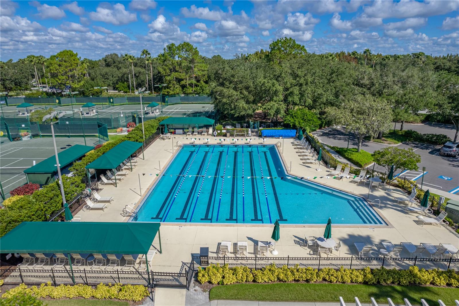Sport Lap Pool