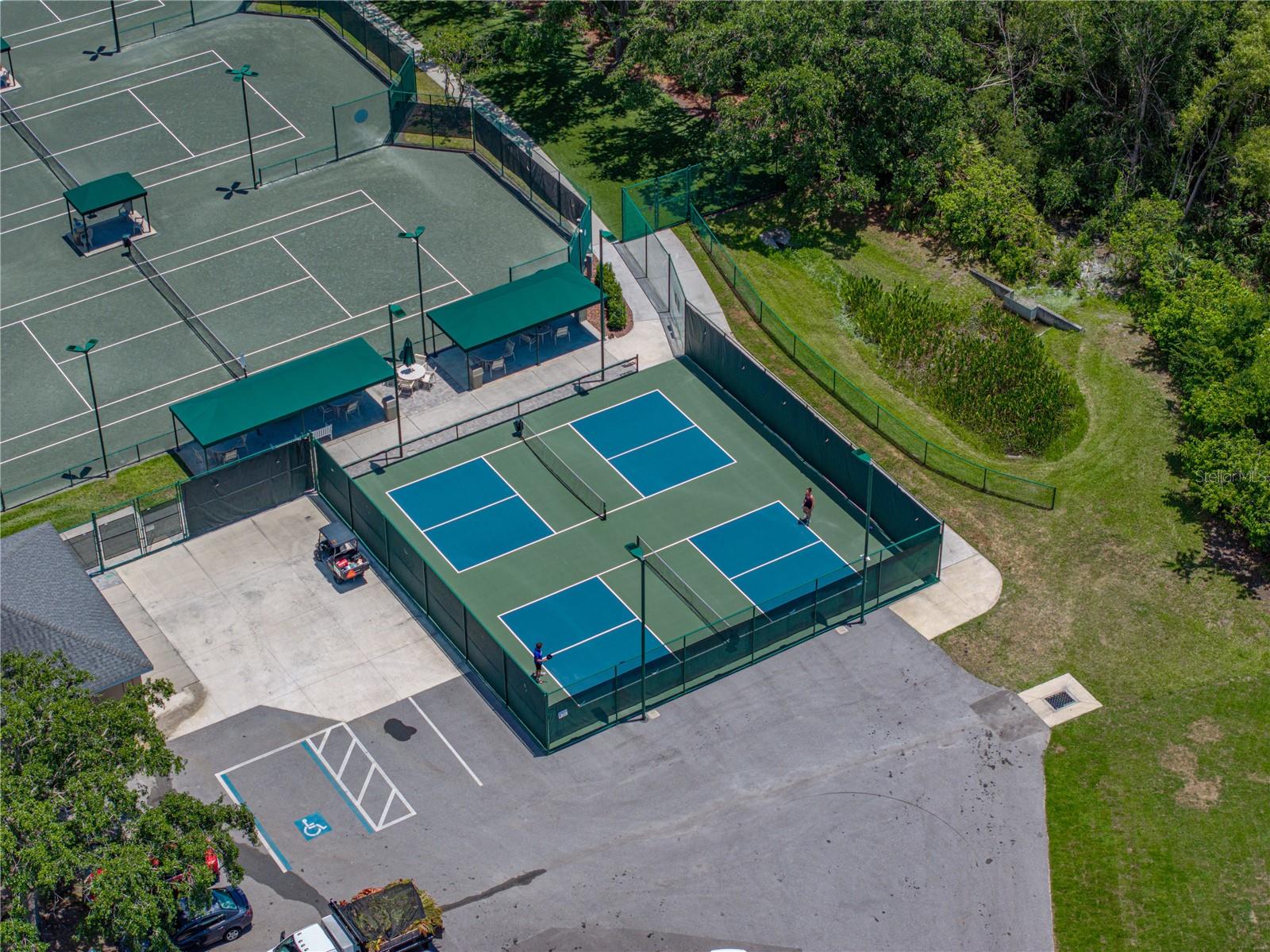 PickleBall Courts