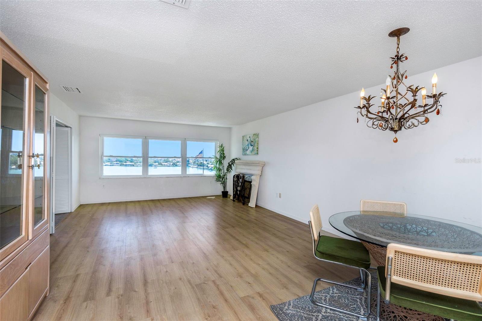 Living Room/Dining Room Combo