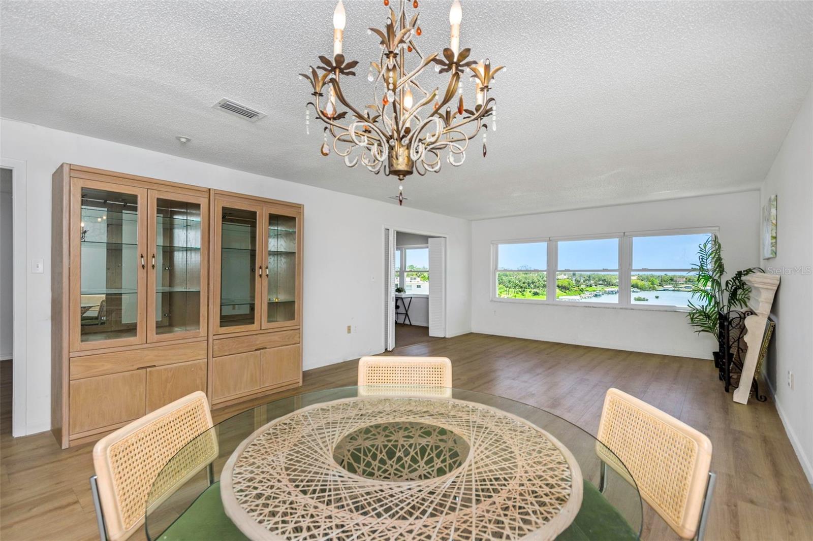 Living Room/Dining Room Combo