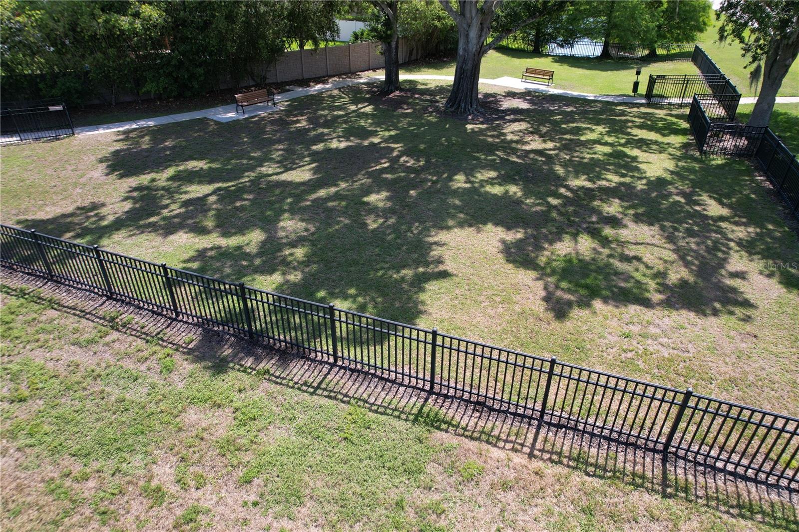 Dog park