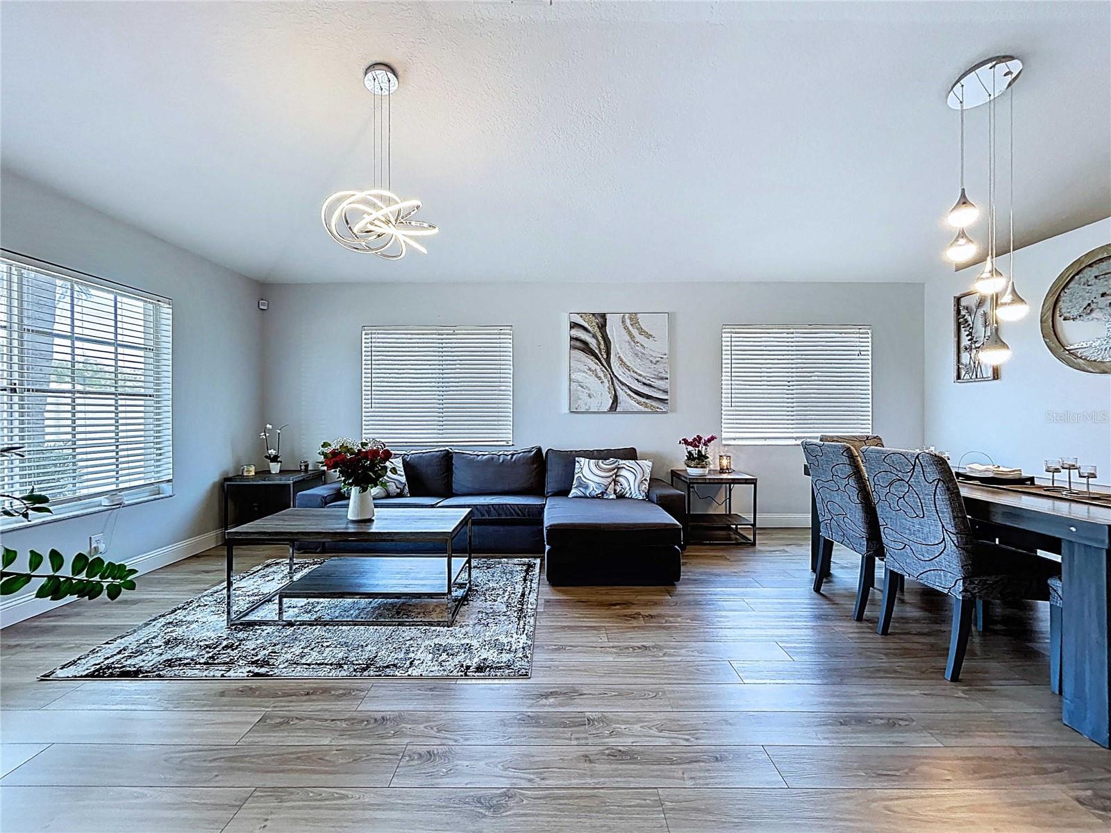 Living/Dining Room Combo