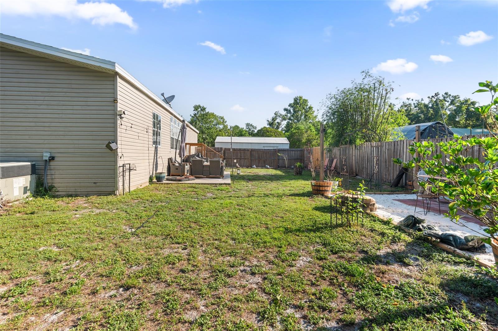 Side backyard