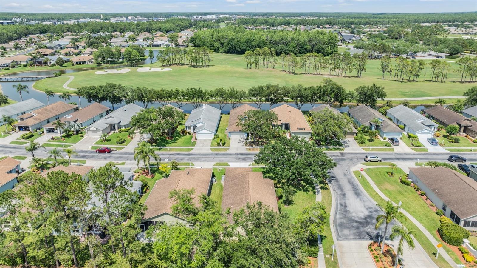 Sidewalks in the neighborhood