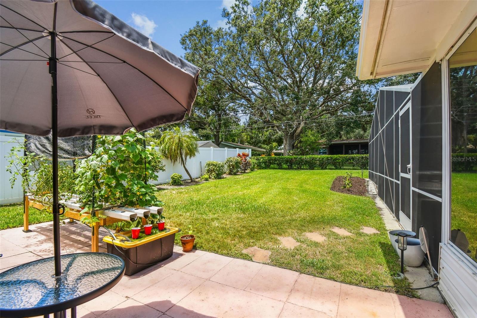 Backyard Patio