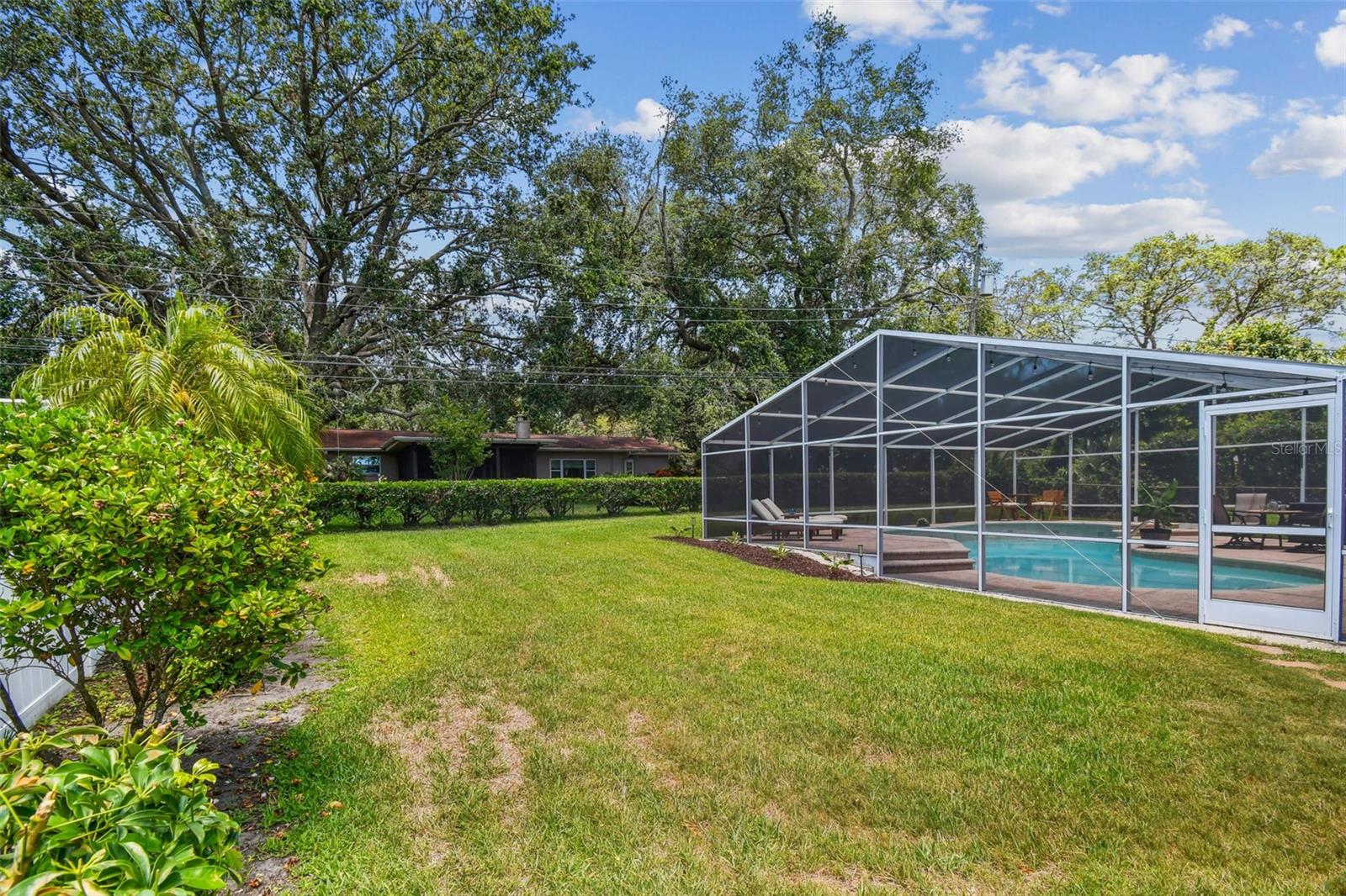 Backyard