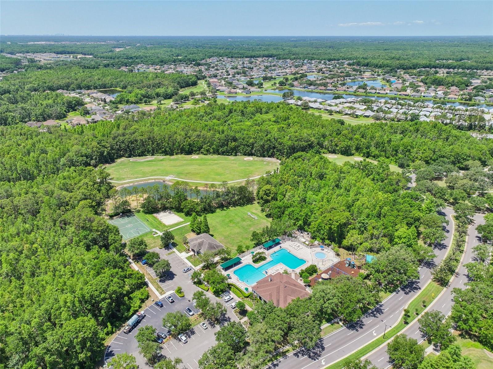 Community Pool Aerial