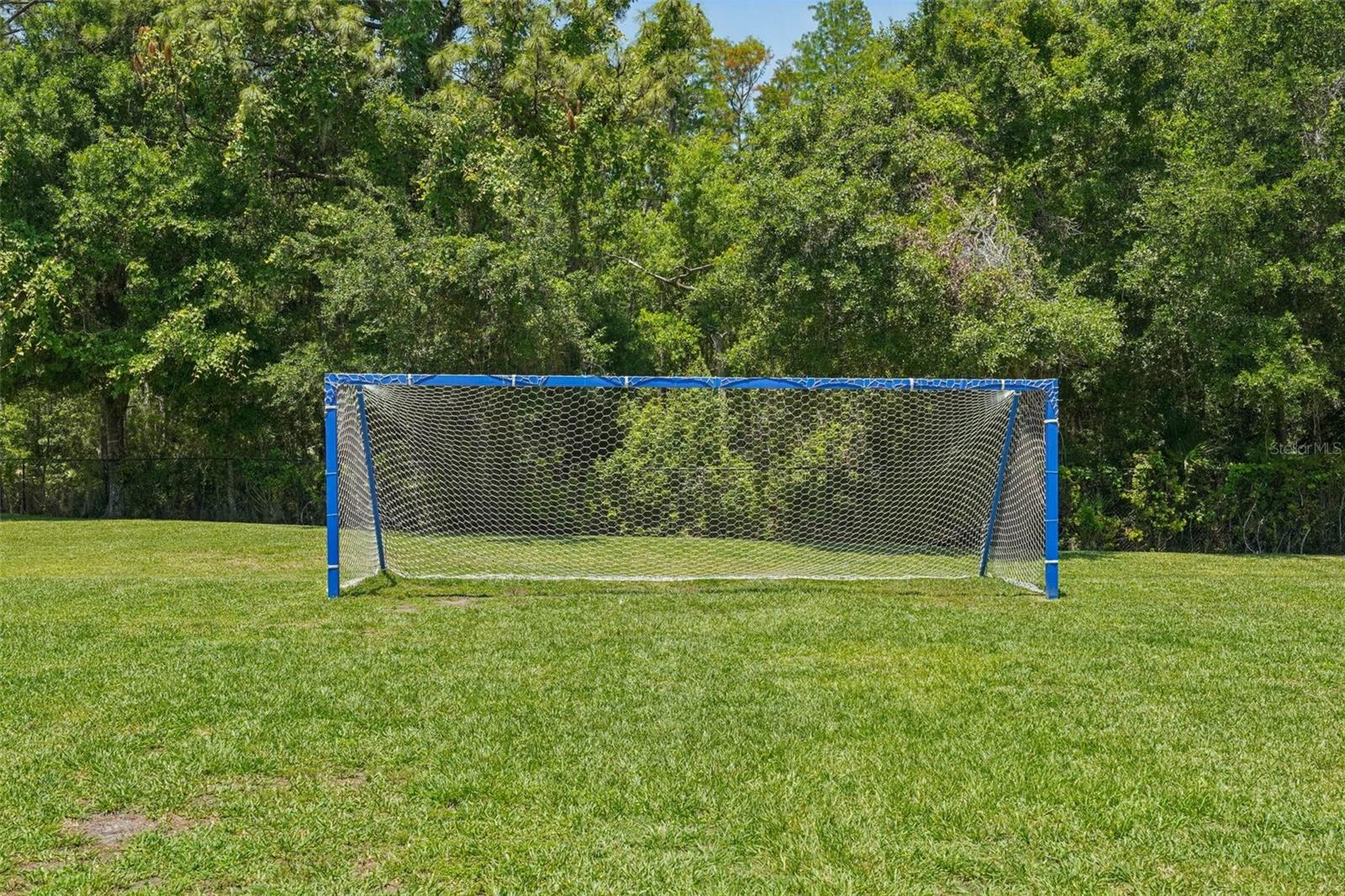 Community Field