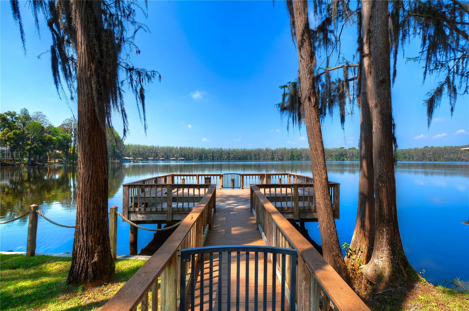 Amenity Dock and Big Lake Vienna