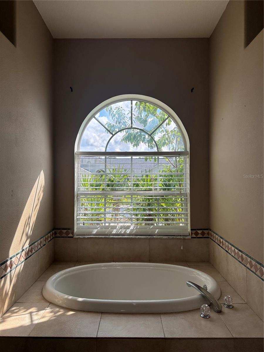 Master Bathtub