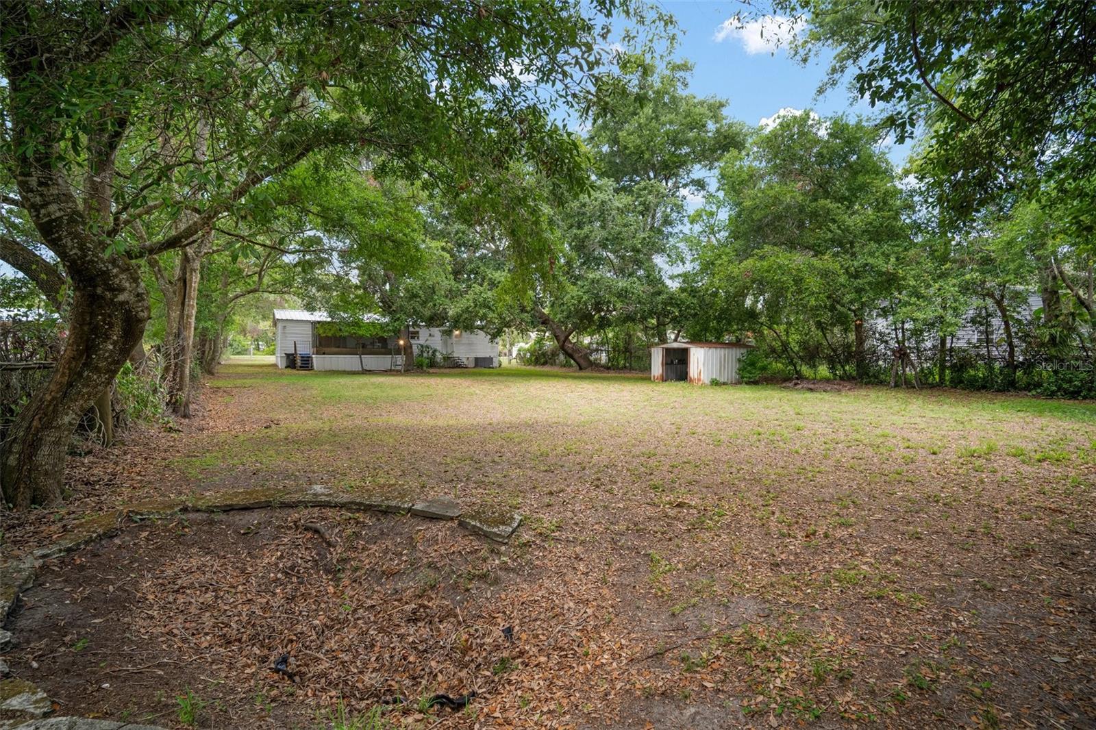 Backyard
