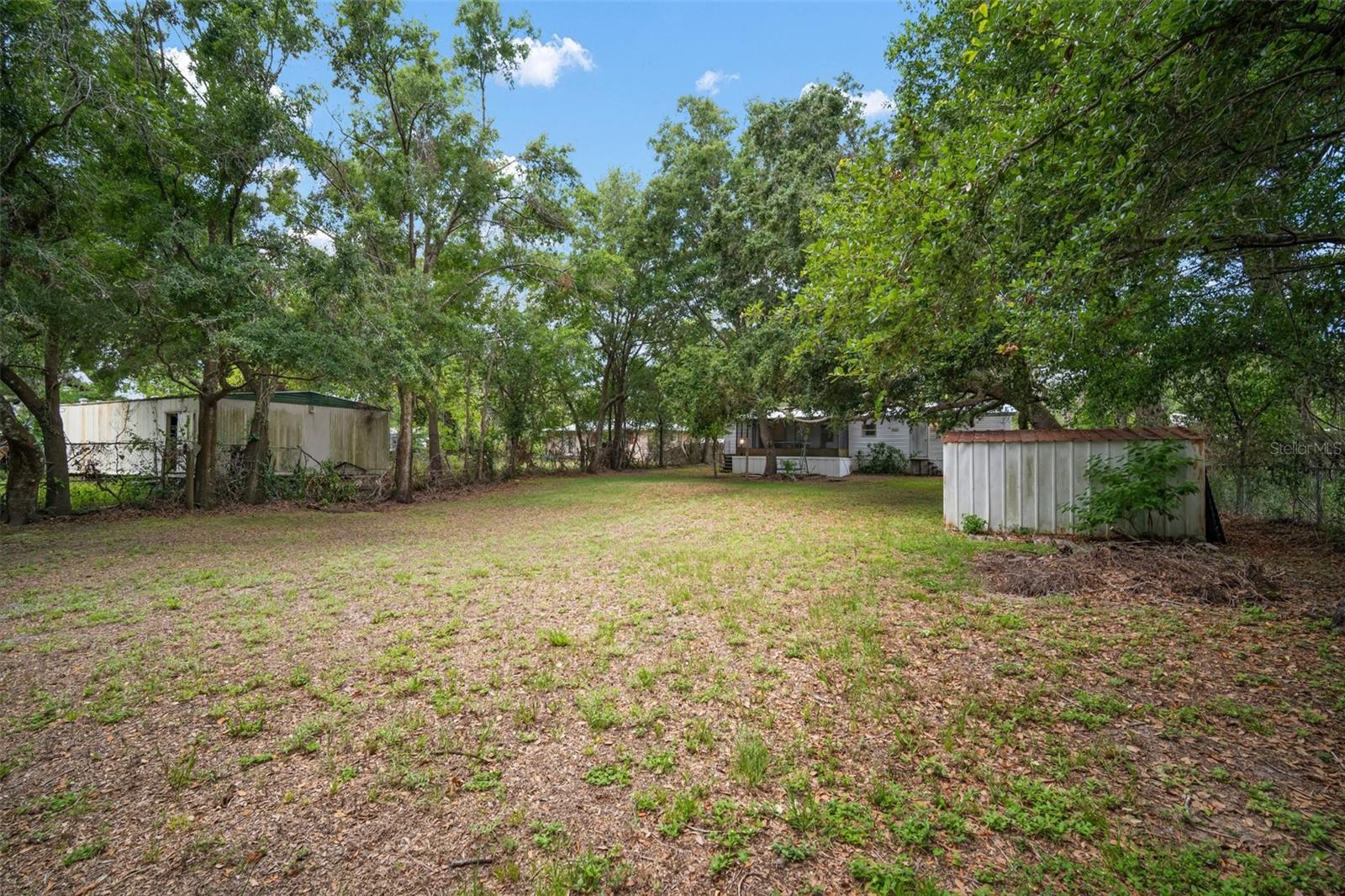 Backyard