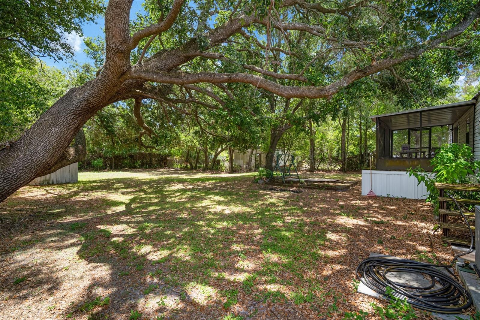Backyard